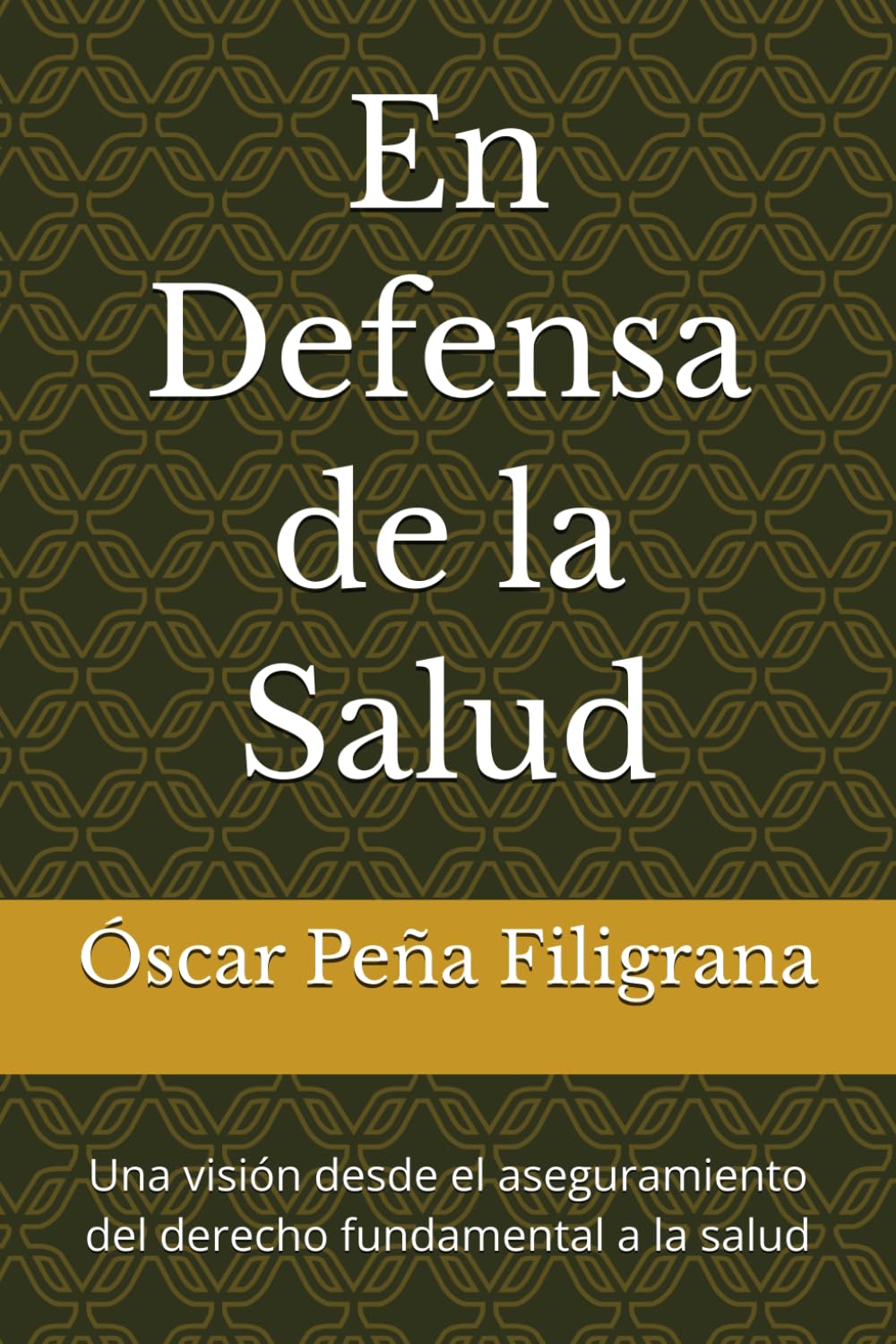 En Defensa de la Salud: Una visión desde el aseguramiento del derecho fundamental a la salud