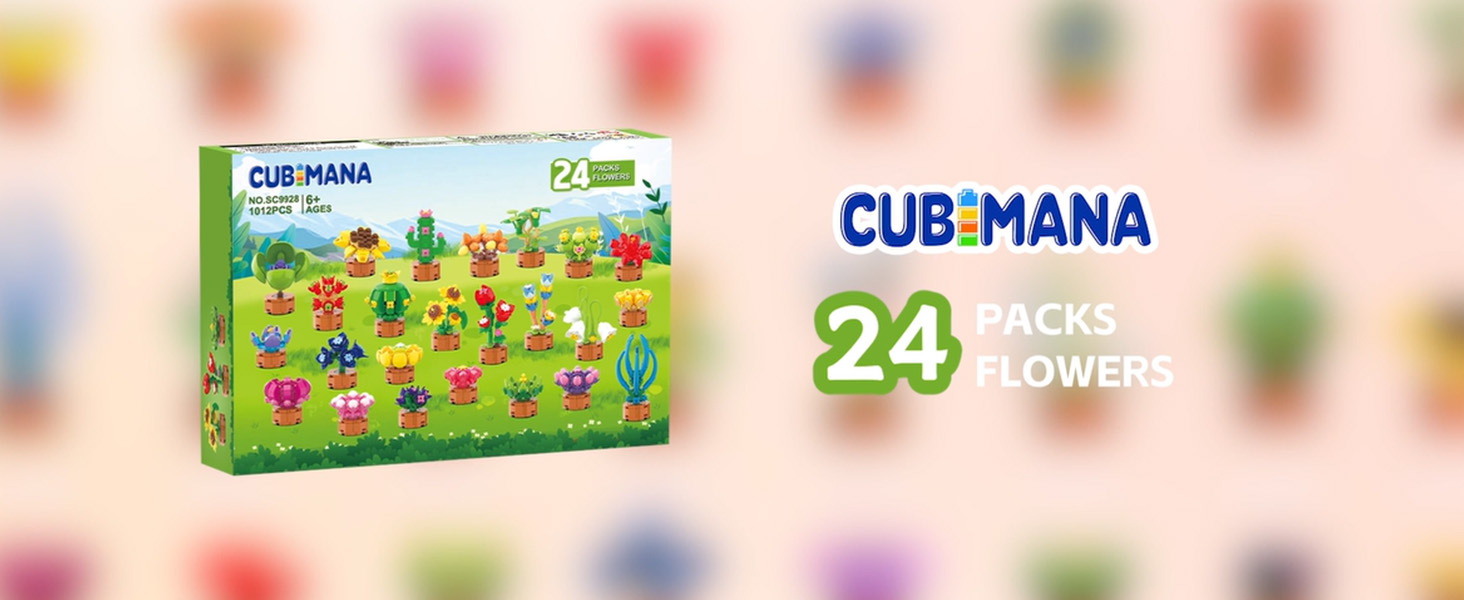 Amazon.com: 24 Pack Flowers Succulents Party Favors for Kids