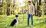 Dog Leashes 6FT 10FT 20FT 30FT 50fT Leads with Comfortable Padded Handle and Highly Reflective Threads for Small Medium and Large Dogs(10 Feet x1/2'' (Pack of 1), Black)