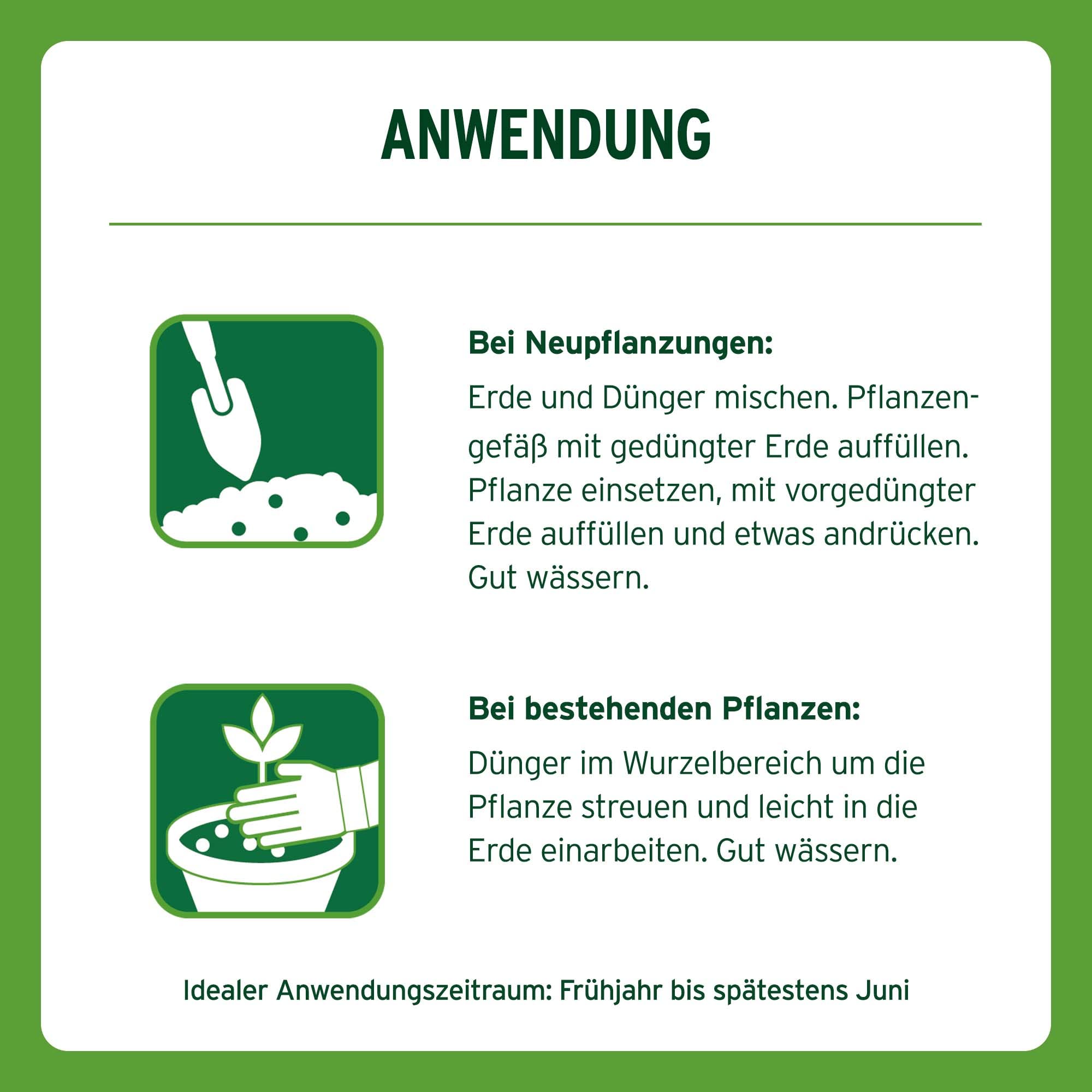 Substral Langzeit Depotdünger für Rosen & Blühpflanzen, 6 Monate Osmocote Premium-Langzeitdünger, 1,5 kg (Packung mit 2)