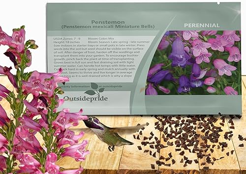 Outsidepride Perennial Penstemon Miniature Bells Garden Flower Seeds - 250 Semillas