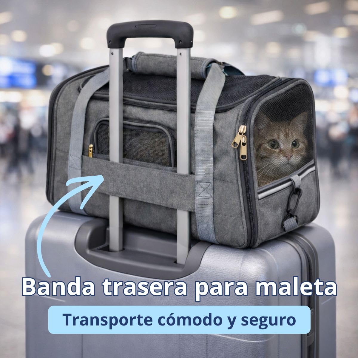 Transportin Gato con ventilación 360° y colchón Suave, Incluye Kit de Viaje con Plato Plegable, Toalla y Porta Bolsas, Seguro para Coche o avión Cabina, transportin Perro pequeño | Gris