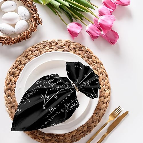 Juego de 6 servilletas de tela con funciones matemáticas de 20 x 20 pulgadas, servilletas de tela educativas matemáticas, lavables y reutilizables,