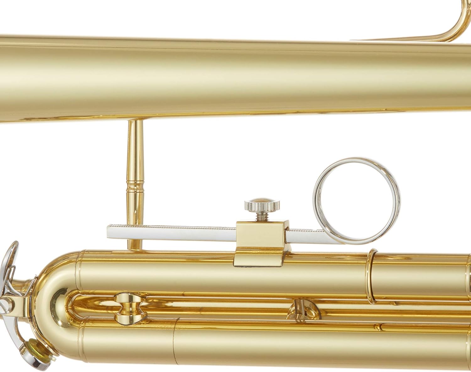 Ashthorpe Standard Bb Trumpet with Gold Brass Finish - Includes Case, Mouthpiece, Gloves, Cleaning Cloth, Valve Oil