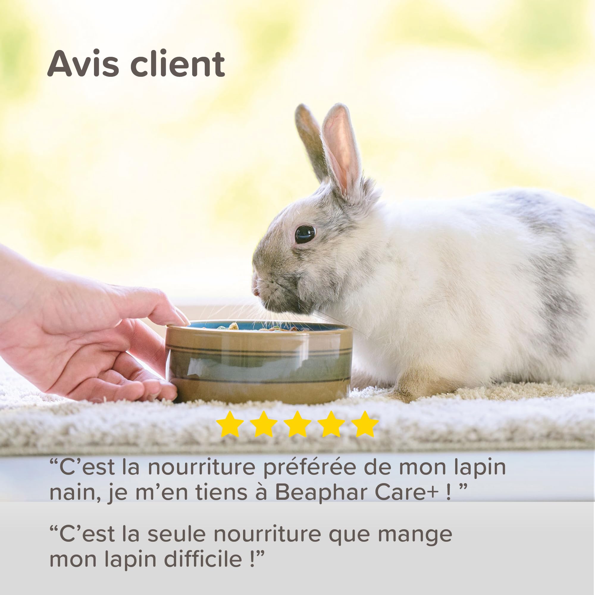 BEAPHAR – Care+ – Alimentation Super Premium extrudée pour Lapin Junior – 25% de Fibres – Appétent, sans Sucre ajouté ni Colorant – Haute digestibilité – Aide à l’Usure Naturelle de Dents – 1.5 kg