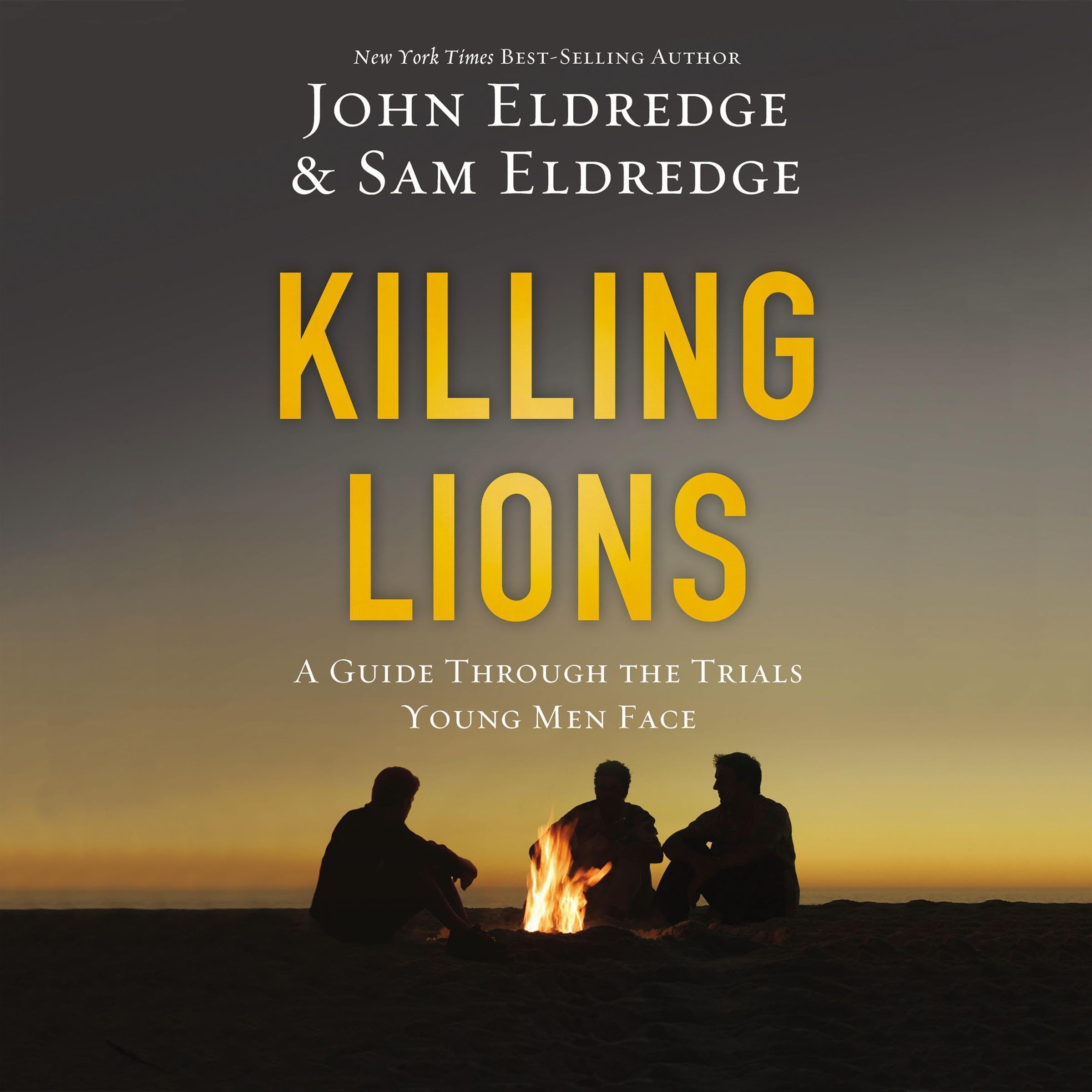 Cover art for Killing Lions