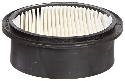 Solberg 10 Replacement Paper Filter for Compressor, 1-3/8