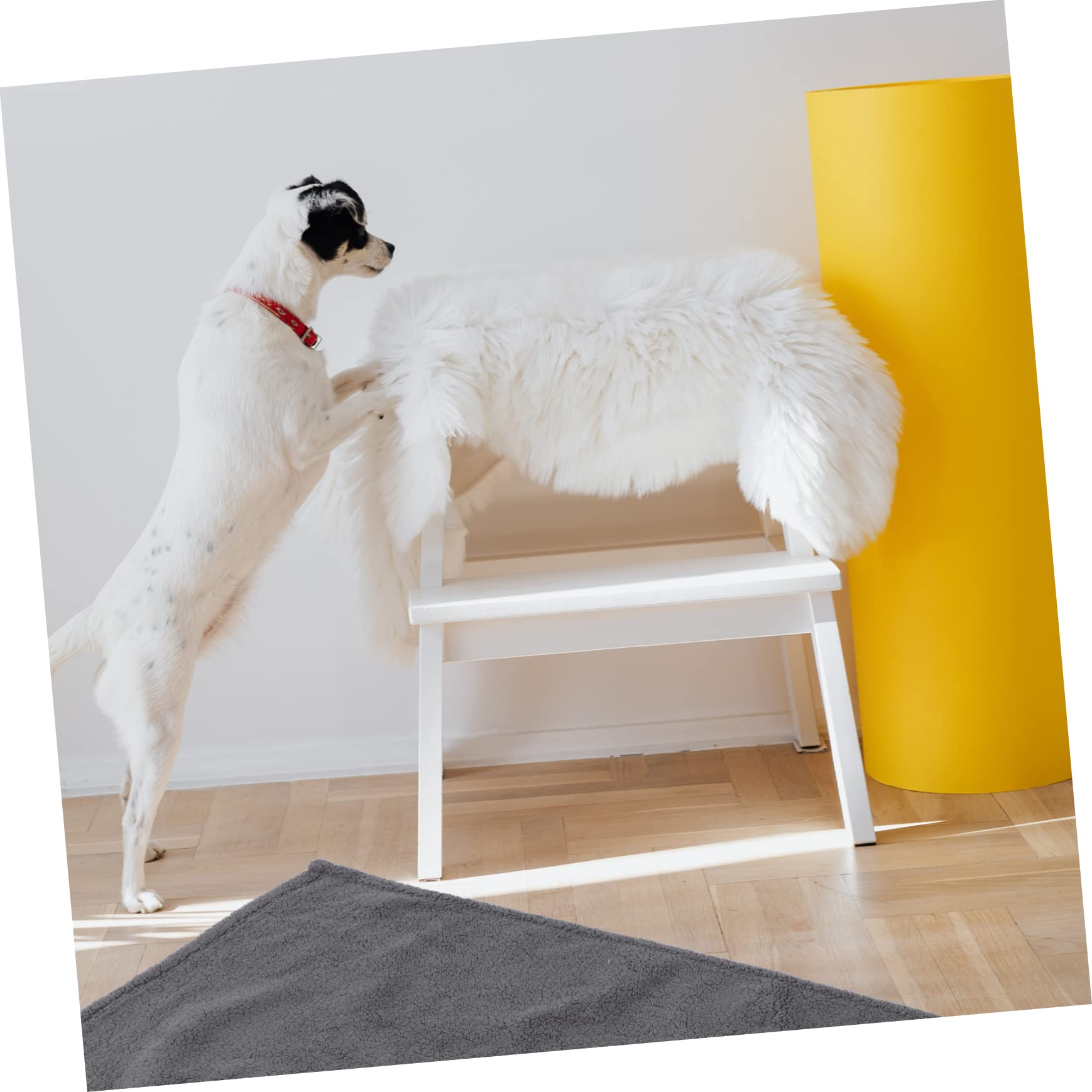 60 x 80 in. Colorful Dog-Sherpa Fleece Blanket