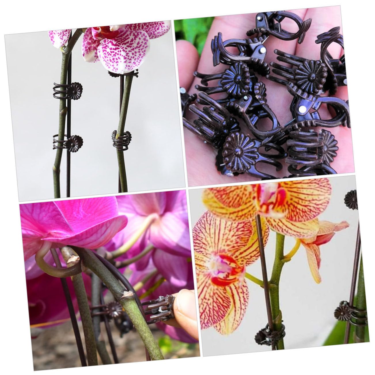 Abaodam 2 Sätze Teiliges Set Pflanzenklemmen Für Kletterpflanzen Phalaenopsis Halterungen Mit Clips Und Eisenstützen Zur Unterstützung Und Fixierung Von Pflanzen 20 Stück * 2