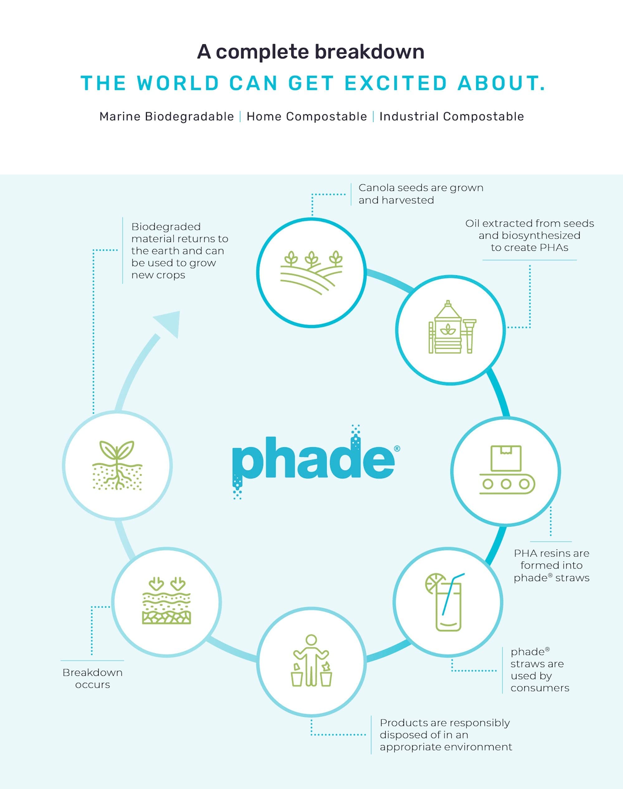phade Lot de 180 pailles écologiques biodégradables et compostables 22,9 cm