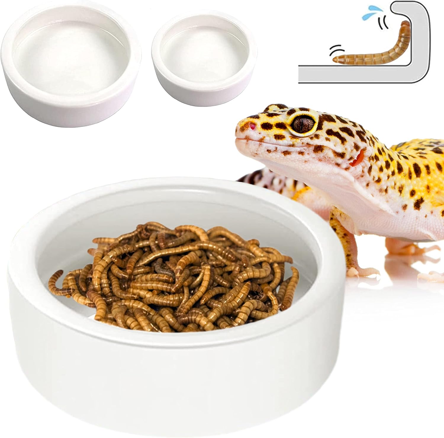 Reptile Worm Dish Bowl - Anti-Escape Ceramic Worm Dish Feeder for Lizard, Leopard Gecko, Bearded Dragon, Chameleon, Skink, Tegu, Snake,…
