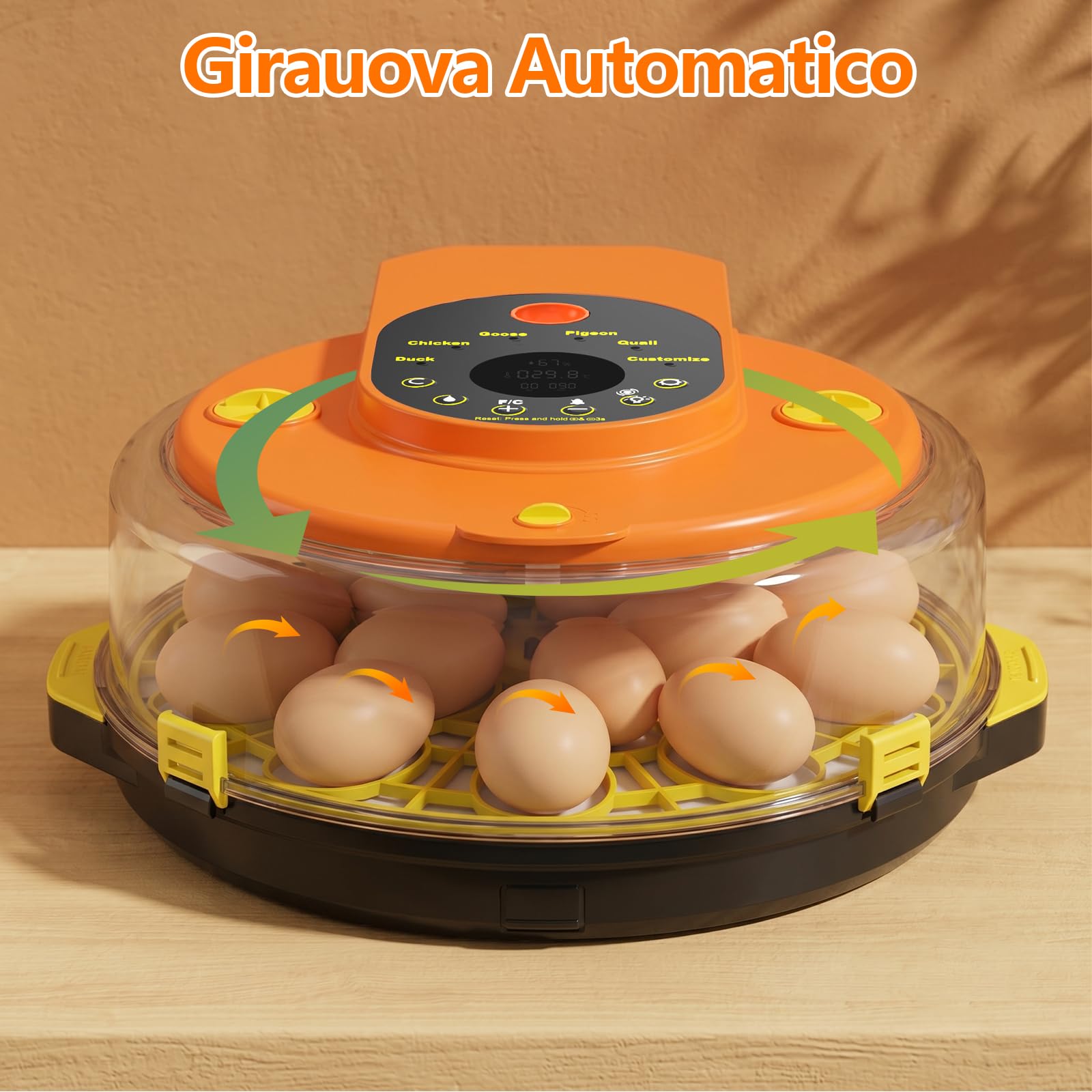 Incubatrice per Uova Automatica, Diealles Shine Incubatrice per Uova 15 con Tornitura Automatica delle Uova e Umidificazione Automatica, Incubators con Controllo della Temperatura