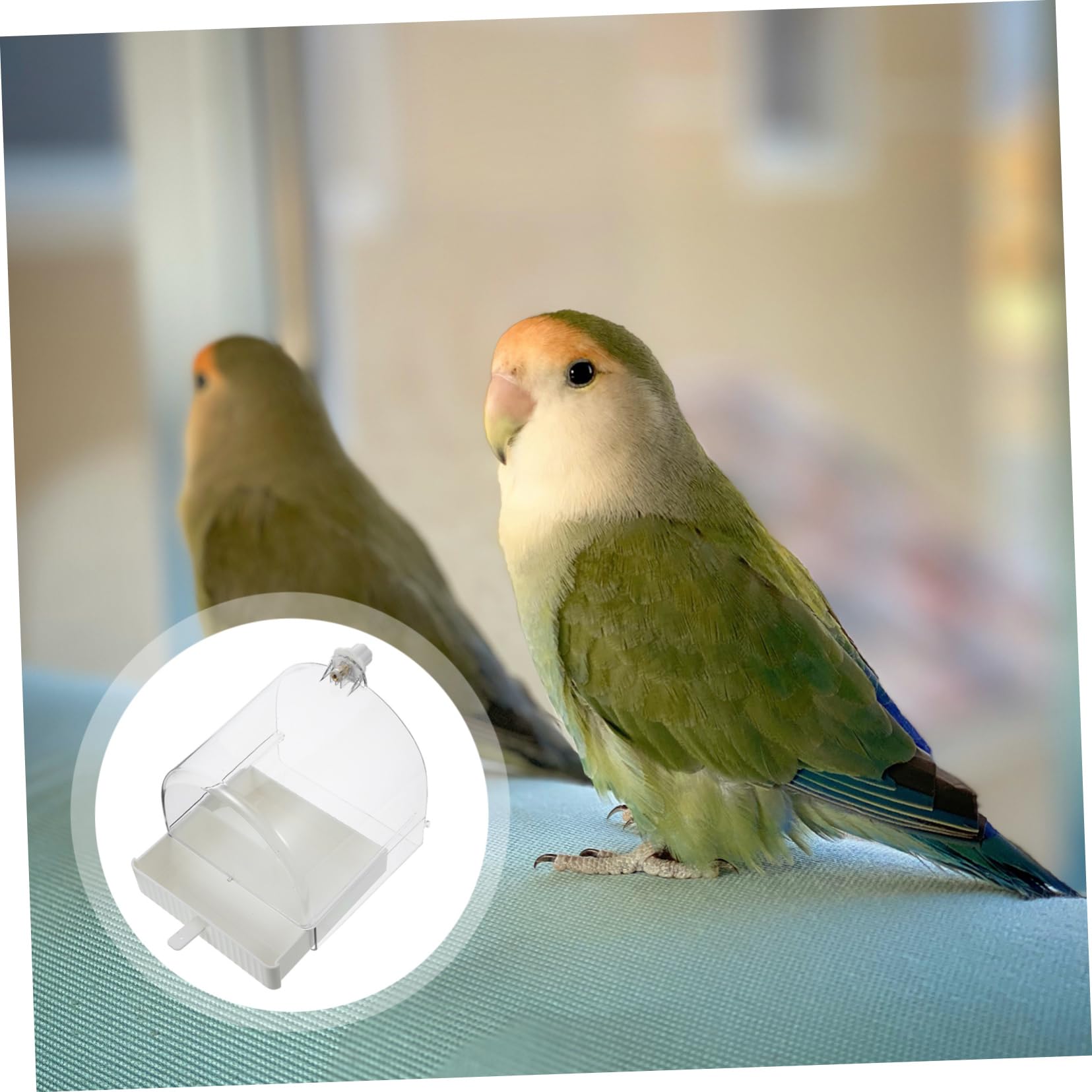 Mipcase Hanging Bird Bath Box for Parrots Easy to Use and Pet Bird Bathtub