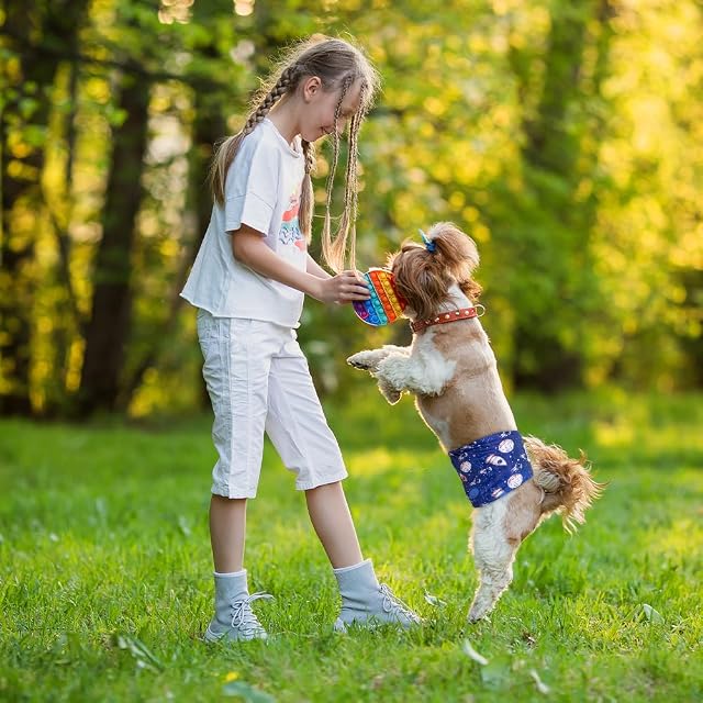 Foto 6 de 7 de MICOOYO Pañales Reutilizables para Perros machos, Paquete de 3, Bandas Lavables para el Vientre para Perros