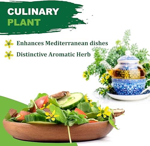 Miniatura 6 de TKE Farms & Gardens - Semillas de rue para plantar, 0.04 oz, 500 semillas de reliquia, sin OMG, instrucciones incluidas, Ruta graveolens, cantidad 1