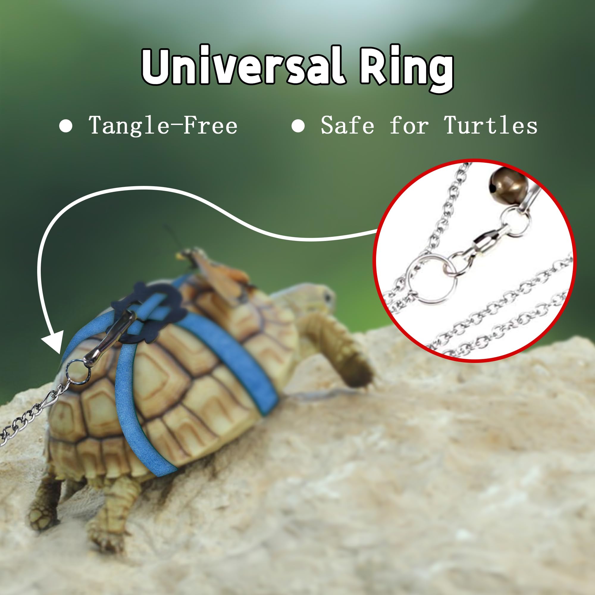 Harnais en Cuir pour Petite Tortue avec Laisse Réglable Noir M