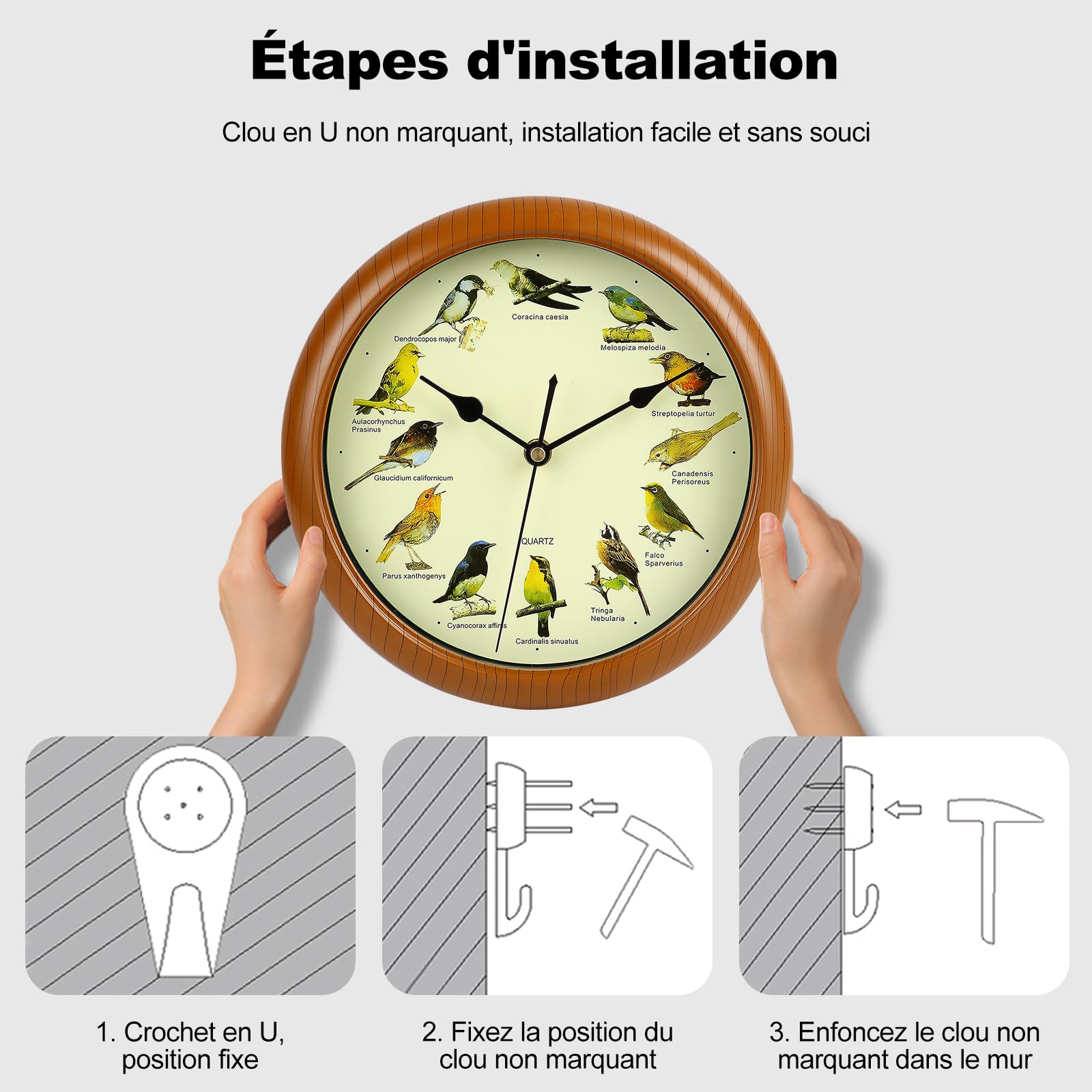 Ergocar Chant De Mur d'Oiseau Horloge Murale Douze Oiseau Chantant Batterie Alimentée (33,02 Cm) 13 Pouces
