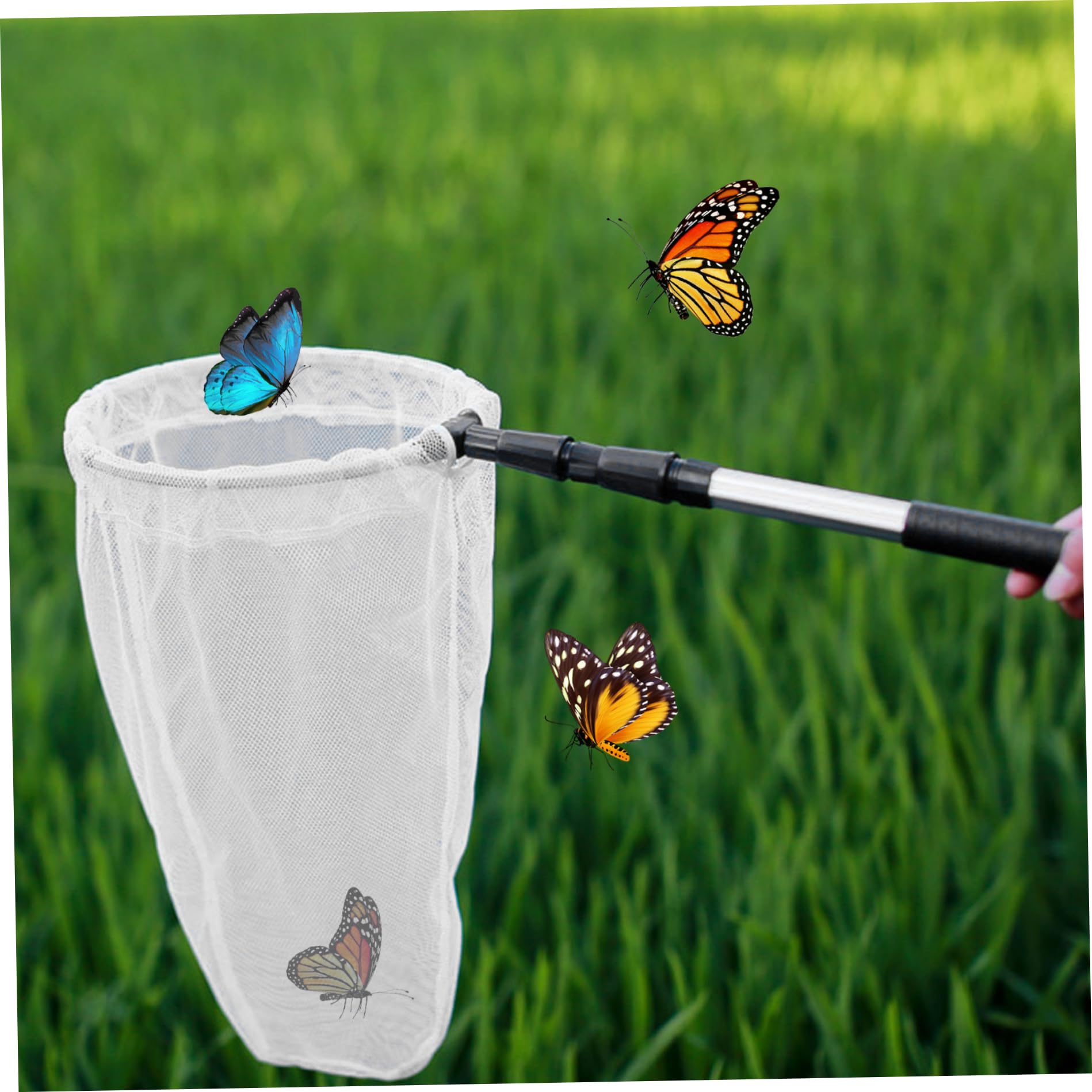 Pesoncarl Butterfly Net, Telescopic Bug Net with Handle Extends to 37 Inches, Fine Mesh Bug Catcher, Portabe Fishing Nets for Kids and Family, Skimming Fish Nets : Sports & Outdoors