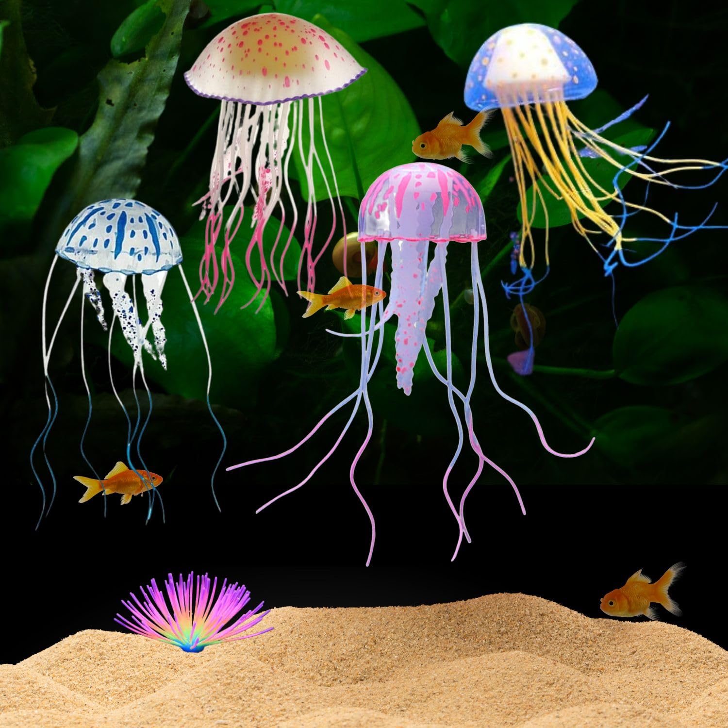VAYINATO® (Pack of 1) Random Colour Glowing Effect Floating Jellyfish for Aquarium Fish Tank Ornament Decor by Pezlifeworld (B0CJV5M1JK) Amazon Price History, Amazon Price Tracker