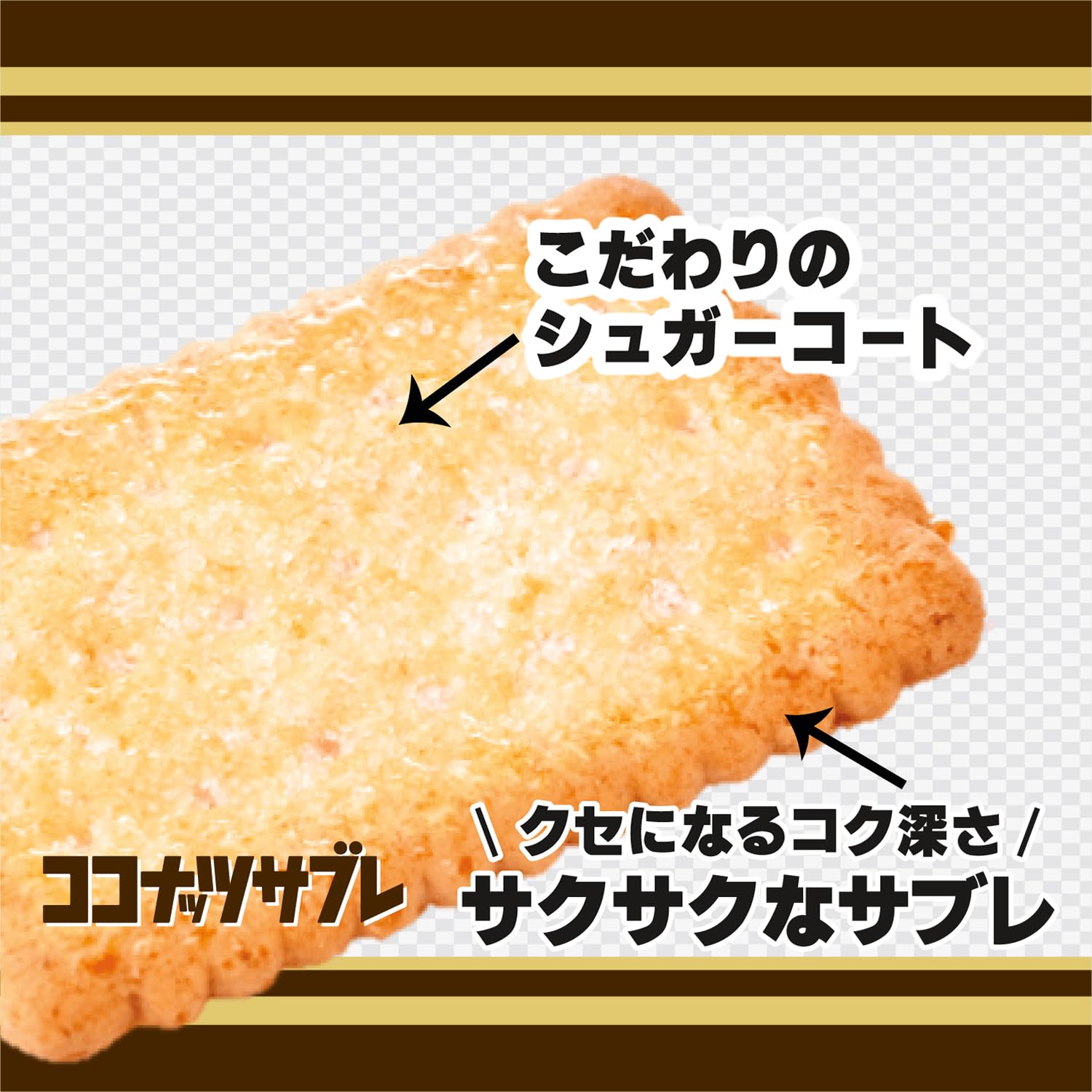 Amazon | 日清シスコ ココナッツサブレ 16枚 | 日清シスコ | ナッツ