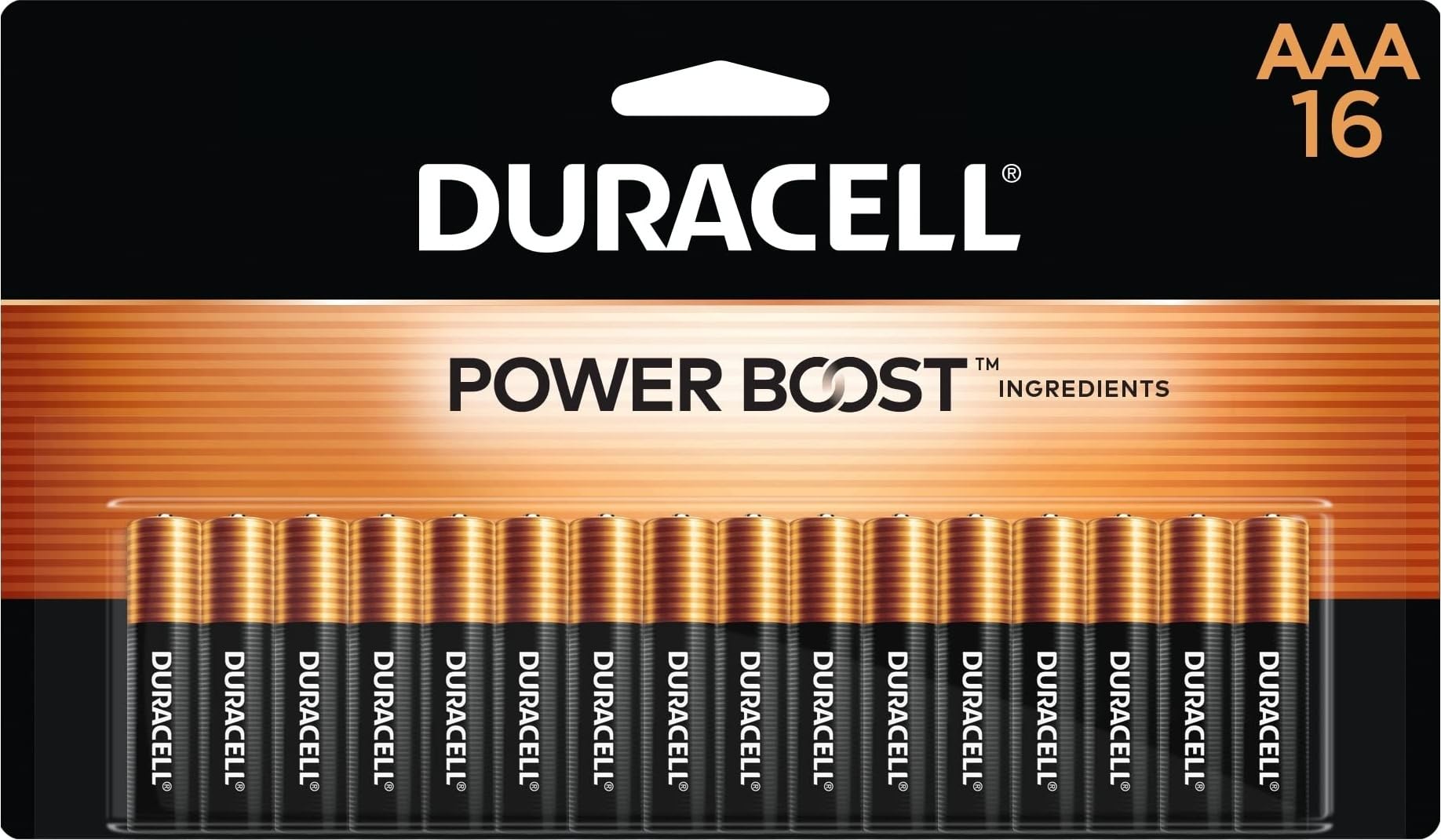 Duracell Coppertop AAA Batteries, 16 Count, 12-Year Shelf Life | 16-pack AAA alkaline batteries for toys, remote controls and smoke alarms 16 Count (Pack of 1)