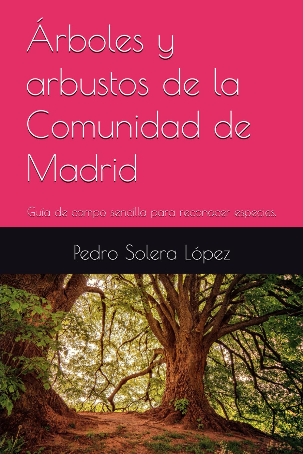 Árboles y arbustos de la Comunidad de Madrid: Guía de campo sencilla para reconocer especies.