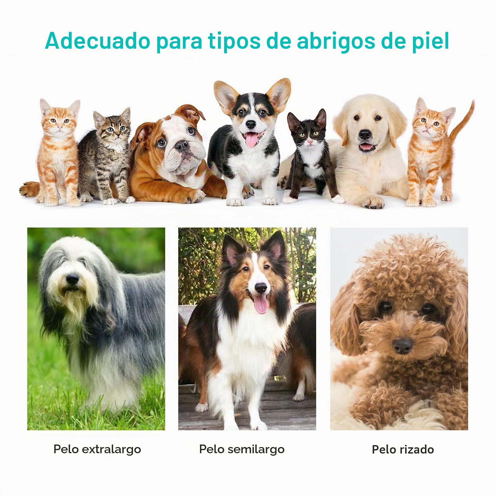 neabot P1 Pro Máquina de Cortar Pelo Profissional y Recarregável para Cães e Gatos, Set de Aseo para Perros, 5 Herramientas de Aseo Probadas (Gris)