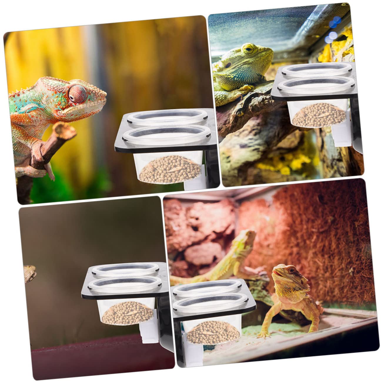 Beavorty 3 Set di Mangiatoie per Rettili E Gechi in Materiale Avanzato con Tazze Senza Sbavature per Un Uso Sicuro degli Animali Domestici Design Pratico
