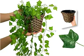 Arranjo C/ 3 Trepadeira + Vaso Trançado Marrom | Arranjo Trepadeira Artificial para Decorações | Plantas para Decoração de Casa, Sala De Estar, Casamento & Escritorio (Folhas de Hera)