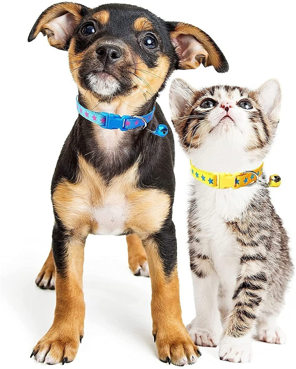 Pets Empire 2 Pcs Cat Collar with Bells, Kitten Puppy Dog Kitty Collar with Star Pattern Fast Release Buckle Adjustable Length (Color May Vary) (B08QZ681TN) Amazon Price History, Amazon Price Tracker