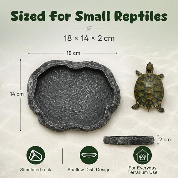 Reptile Water Bowl,Tortoise Feeding Dish 18x14x2cm