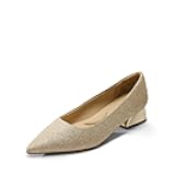 Women's Chunky Heels Closed Toe Low Block Work Shoes Pointed Toe Dress Comfortable Wedding Pumps