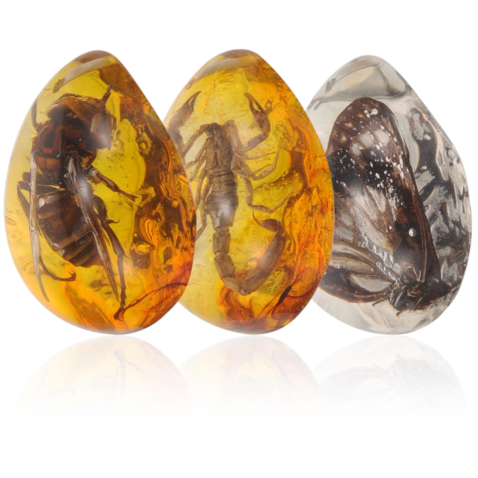 Especímenes de insectos en ámbar de resina, juego de 3 piezas para regalo original de Navidad 8
