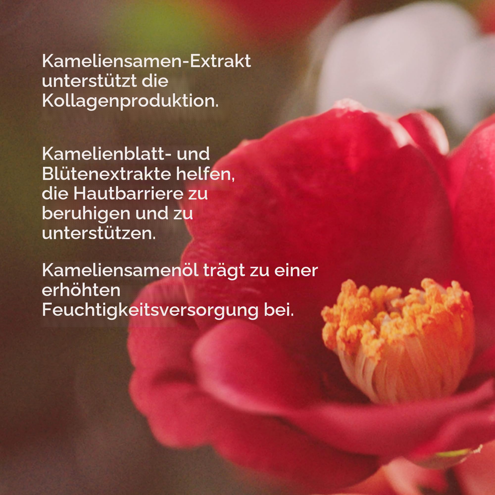 Shiseido I Ultimune I Power Infusing Face Serum I Schnell einziehend | Hydratisierendes Anti-Aging-Serum I Stärkt Abwehrkraft und Feuchtigkeitsbarriere mit fermentierter Kamelie
