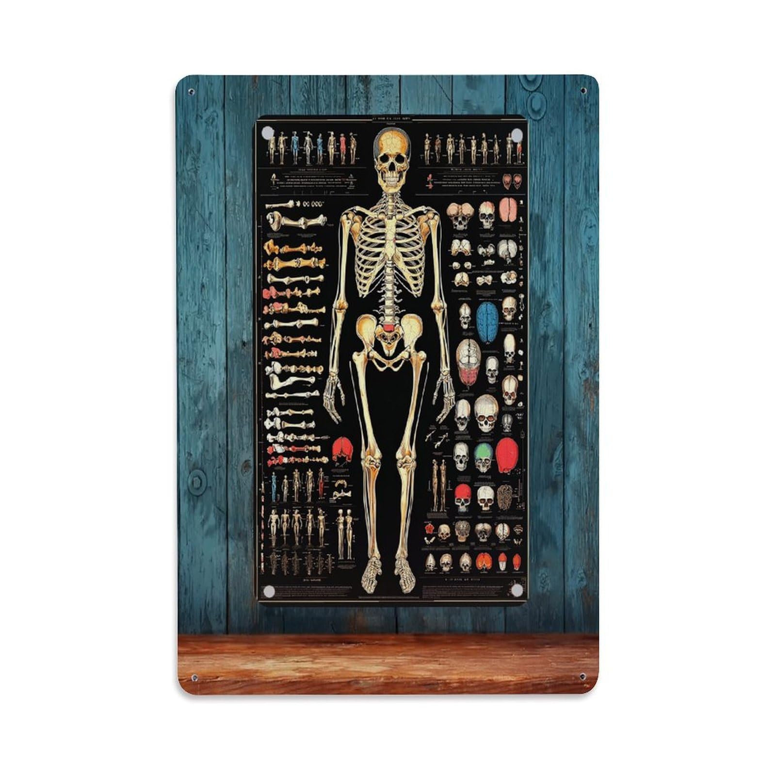 Jdfenggu Vintage Human Skeleton Anatomy Chart Poster Retro Metal Tin Sign, Decor Art Poster For Bar, Home, Man Cave, Kitchen, Laundry Room Gift 8X12inch
