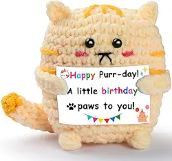 A Little Birthday Paws to You! - Gatinho de crochê feito à mão com cartão de presente para quem ama gatos - Presente de aniversário emocionante com cartão comemorativo para mulheres, homens