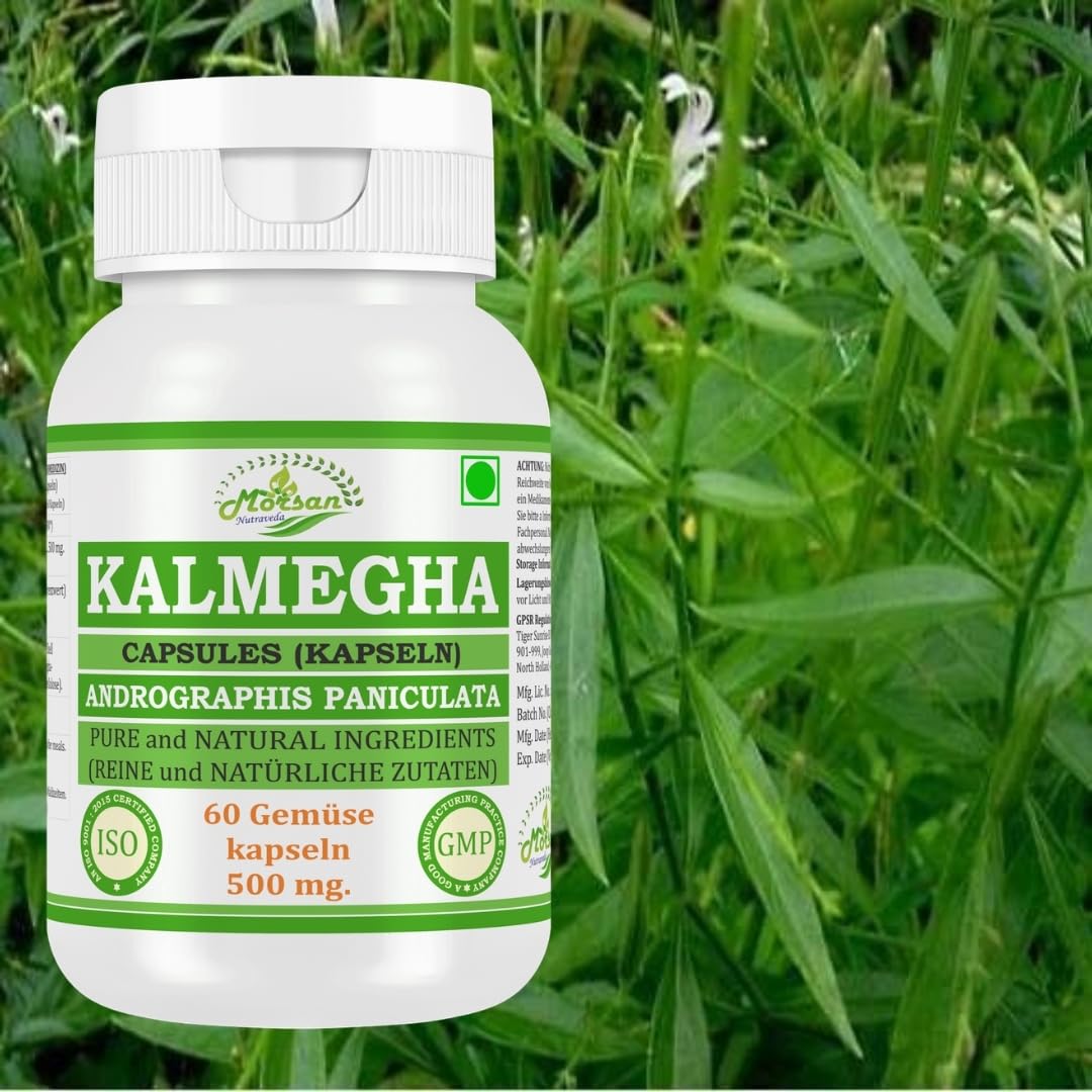 Kalmegha (Andrographis Paniculata) Capsules | 500 mg. - 10:1 Potent Extract | Ayurvedic Herbal Supplement | 60 Vegan Capsules for Men & Women (Pack of 1 Bottle)