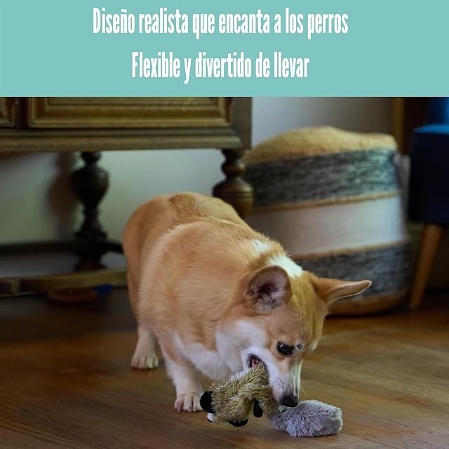 Foto 6 de 8 de SKINNEEEZ Spot Juguete para Perro sin Relleno con chirriador, Juguete chirriante de Mapache de Peluche…