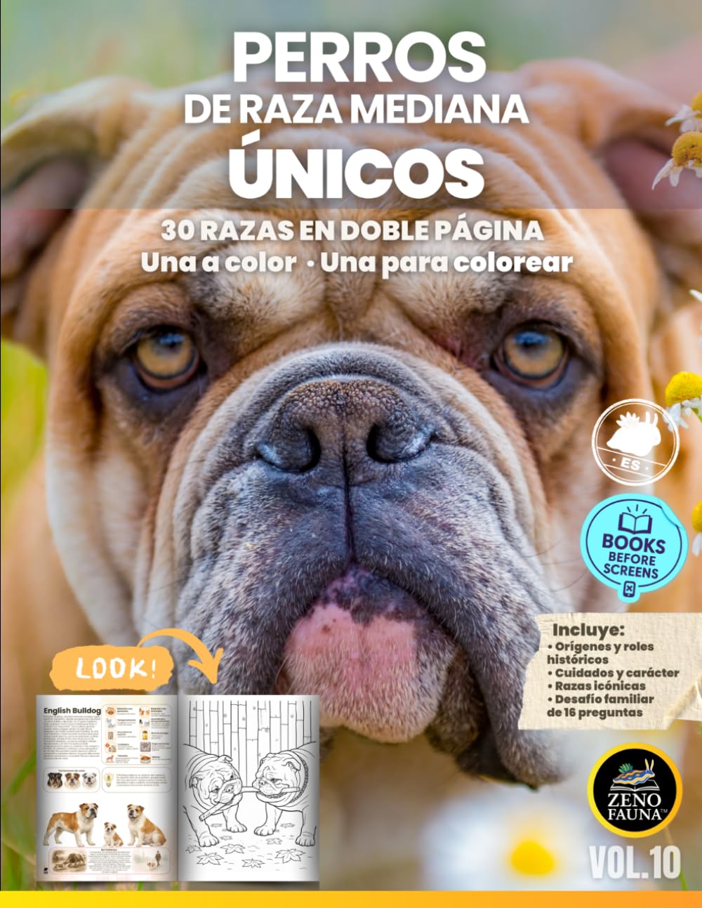 Perros de Raza Mediana – Únicos: 30 Razas en Doble Página | Una a Color y Una para Colorear (Animales Únicos)