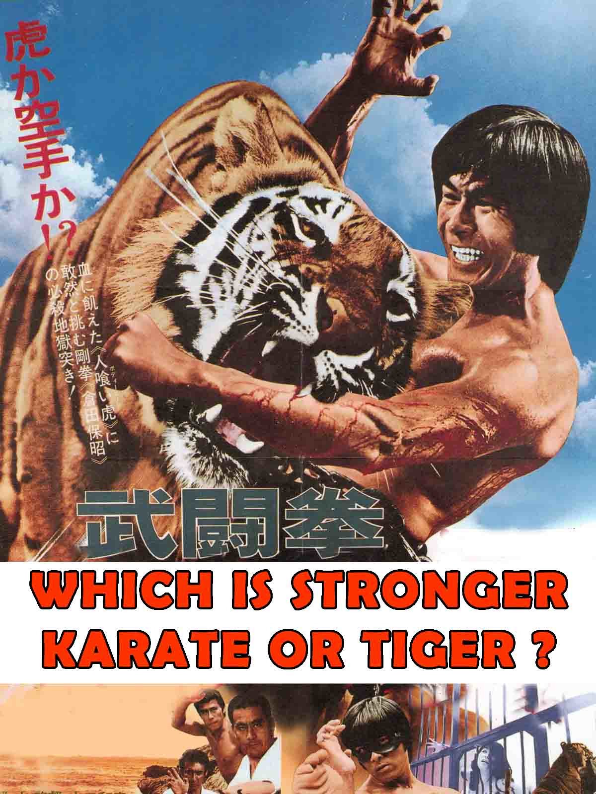 Watch Which Is Stronger Karate Or Tiger Prime Video