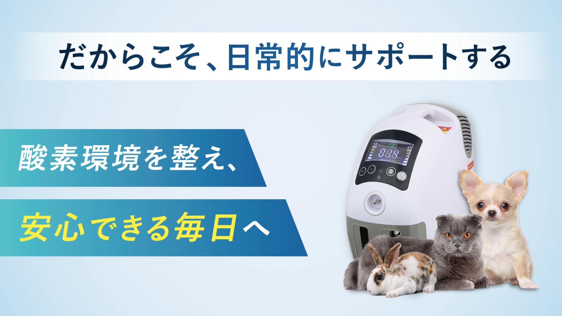 Amazon | 【獣医師監修】 犬・猫対応 ハイクラス 酸素発生器 ペット