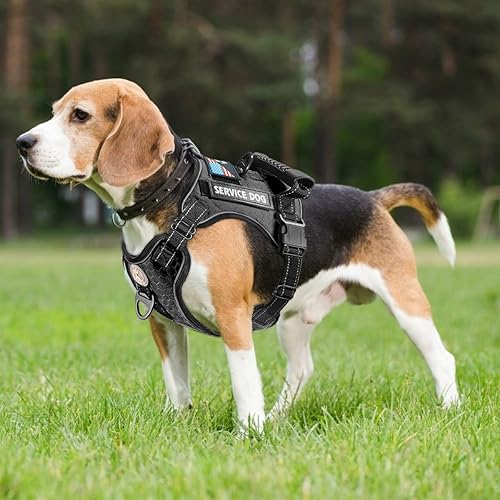 Miniatura 2 de Cymiler Chaleco de servicio para perro, arnés y correa para perro, arnés ajustable Oxford reflectante con asa para entrenamiento al aire libre,