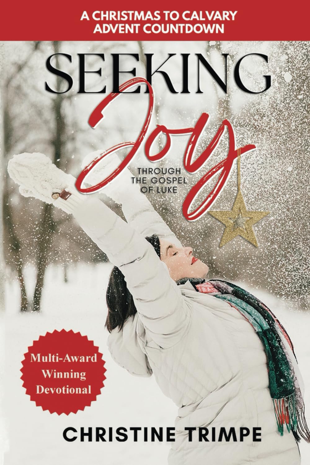 Seeking Joy through the Gospel of Luke: A Christmas to Calvary Advent Countdown
