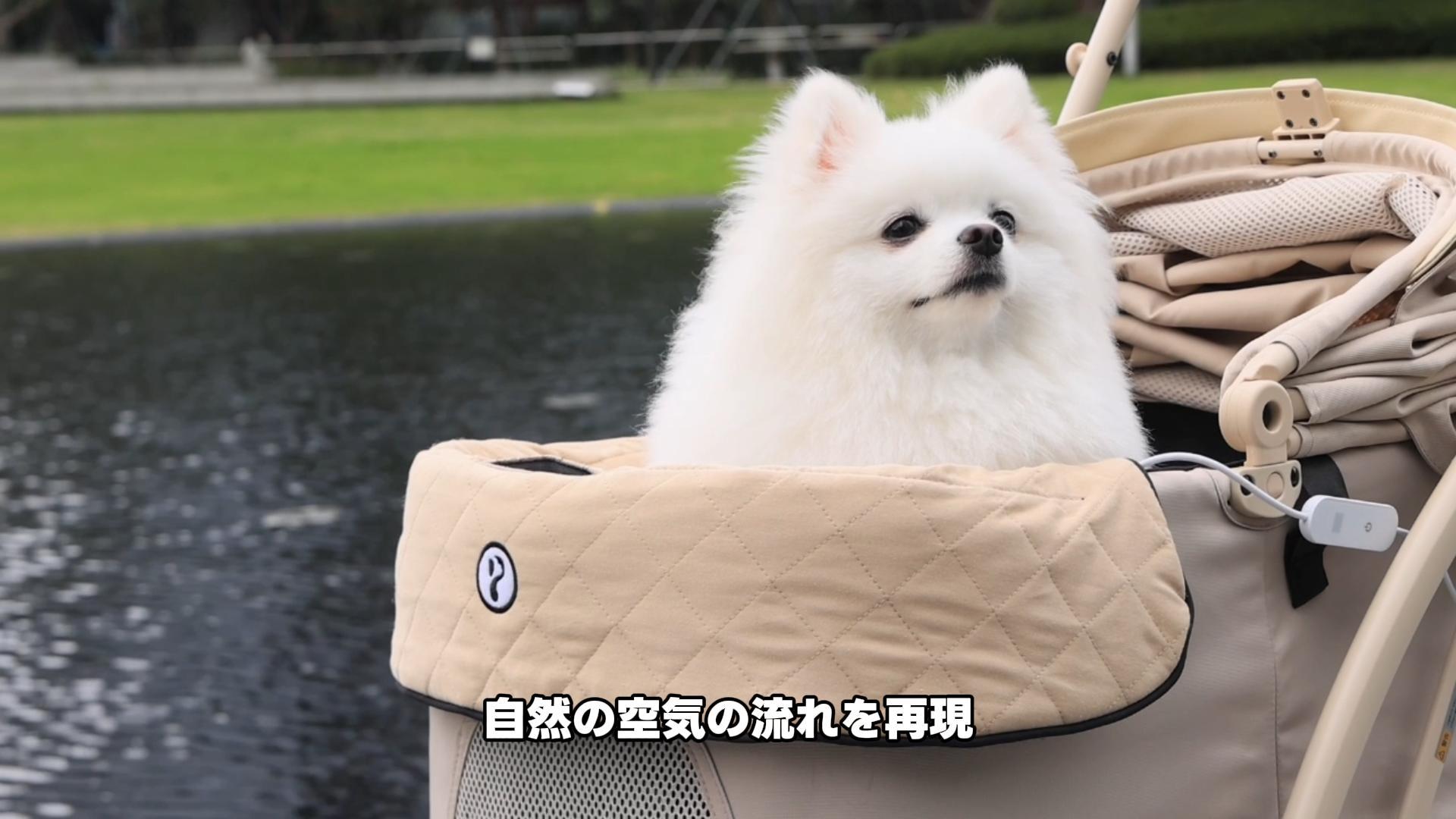 Amazon | 【3D全面送風·ひんやり持続】PETTENA ペットカート用 ファン