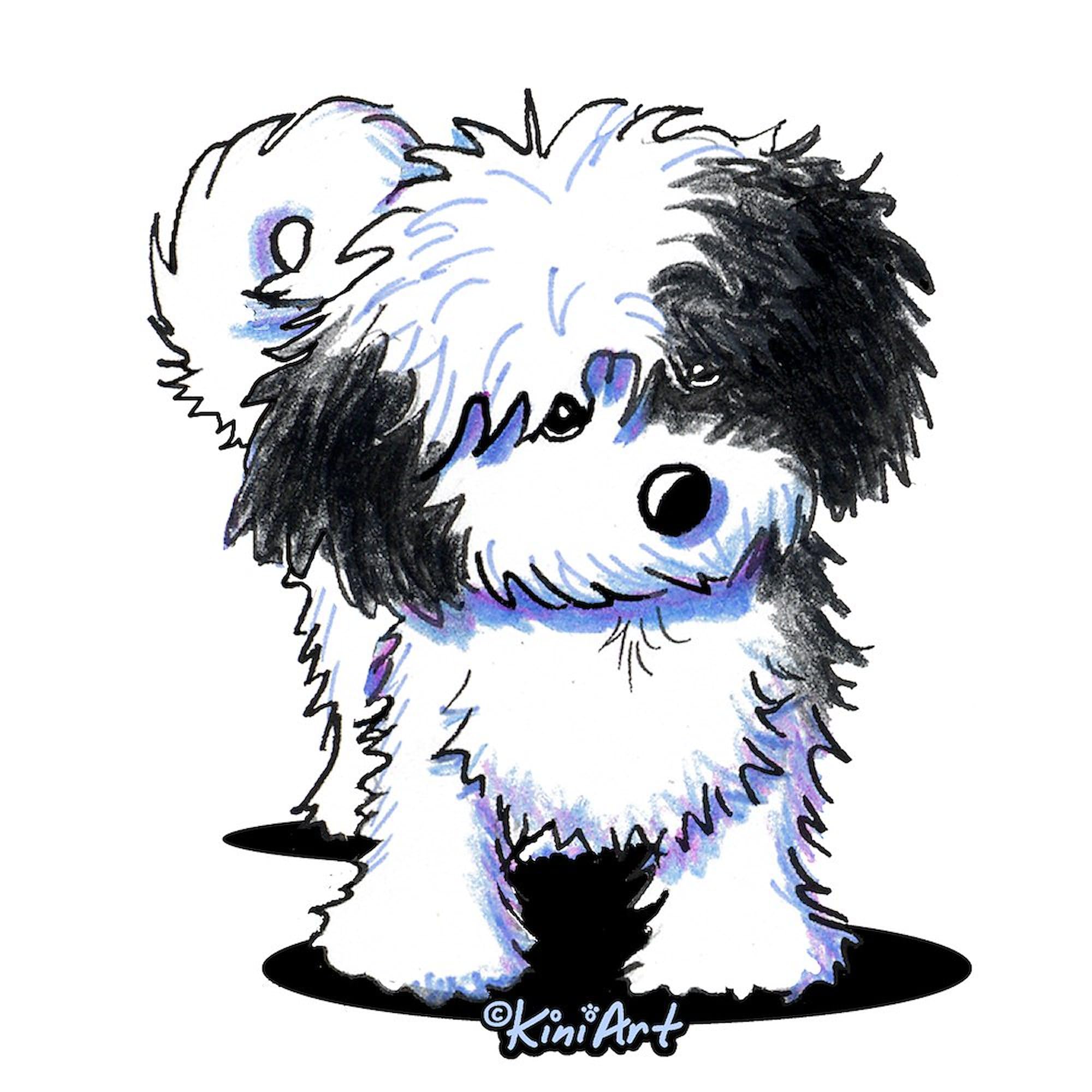 CafePress B/W Havanese Cutie Oval Car Bumper Sticker