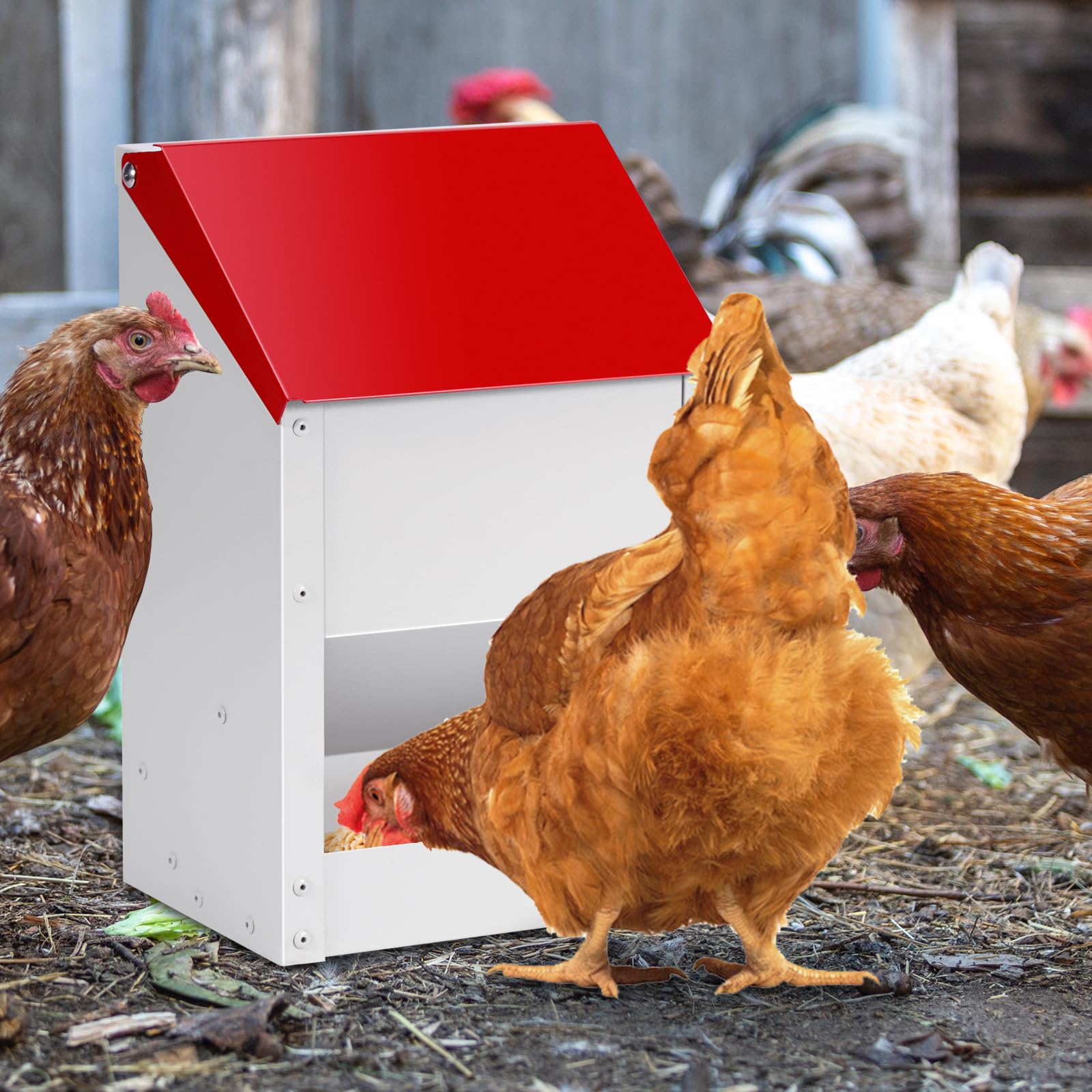 Automatic Chicken Feeder 10lbs Metal Chicken Feeder No Waste Wall Mounted Poultry Feeder Trough with Scoop for Chickens Ducks Quail Geese Pet - image 6
