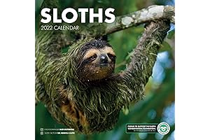 2022 Sloth Wall Calendar: The Ultimate Sloth Lover's Essential