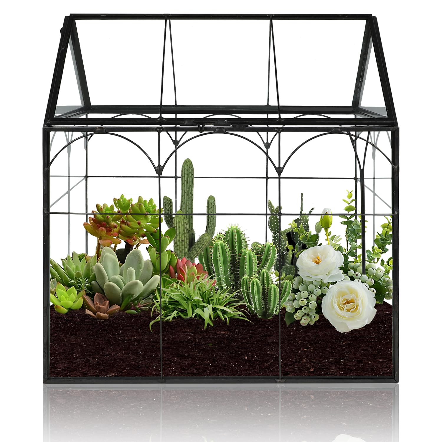 Mini terrarium en verre de 22 cm - Plantes géométriques - Pour plantes carnivores - Pour plantes grasses carnivores