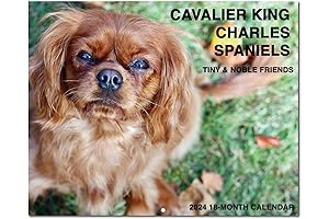 Unveiling 2022's Artistic Masterpiece: Charles Wysocki Wall Calendar, Enriching Your Year with Splendor!