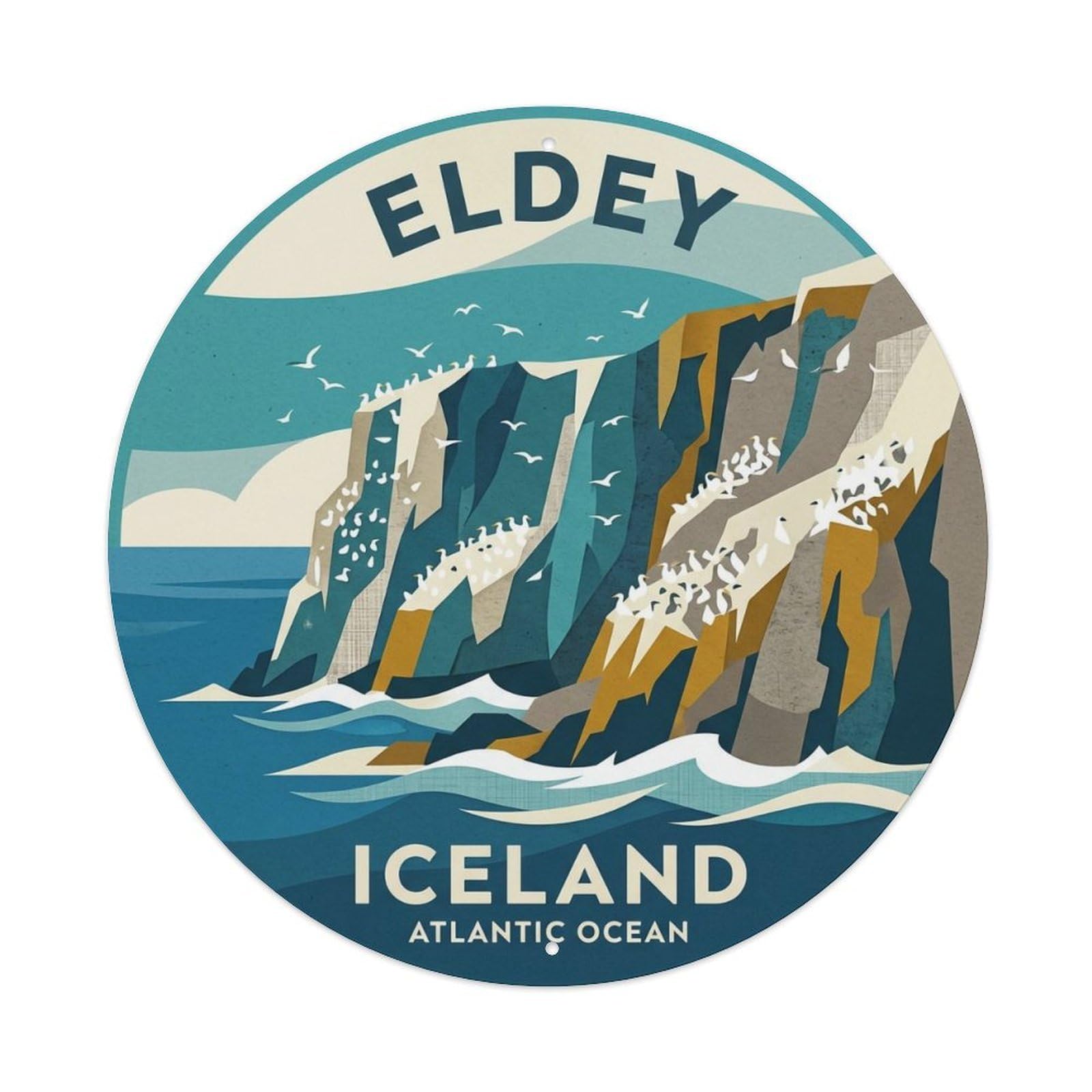 Fqnyr Style Metal Tin Sign Vintage Travel Eldey Iceland Gannet